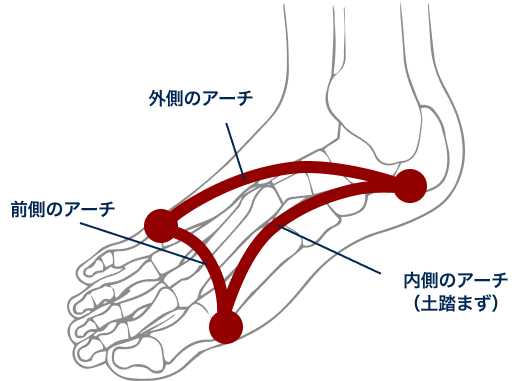 足のニュートラルポジションとは画像