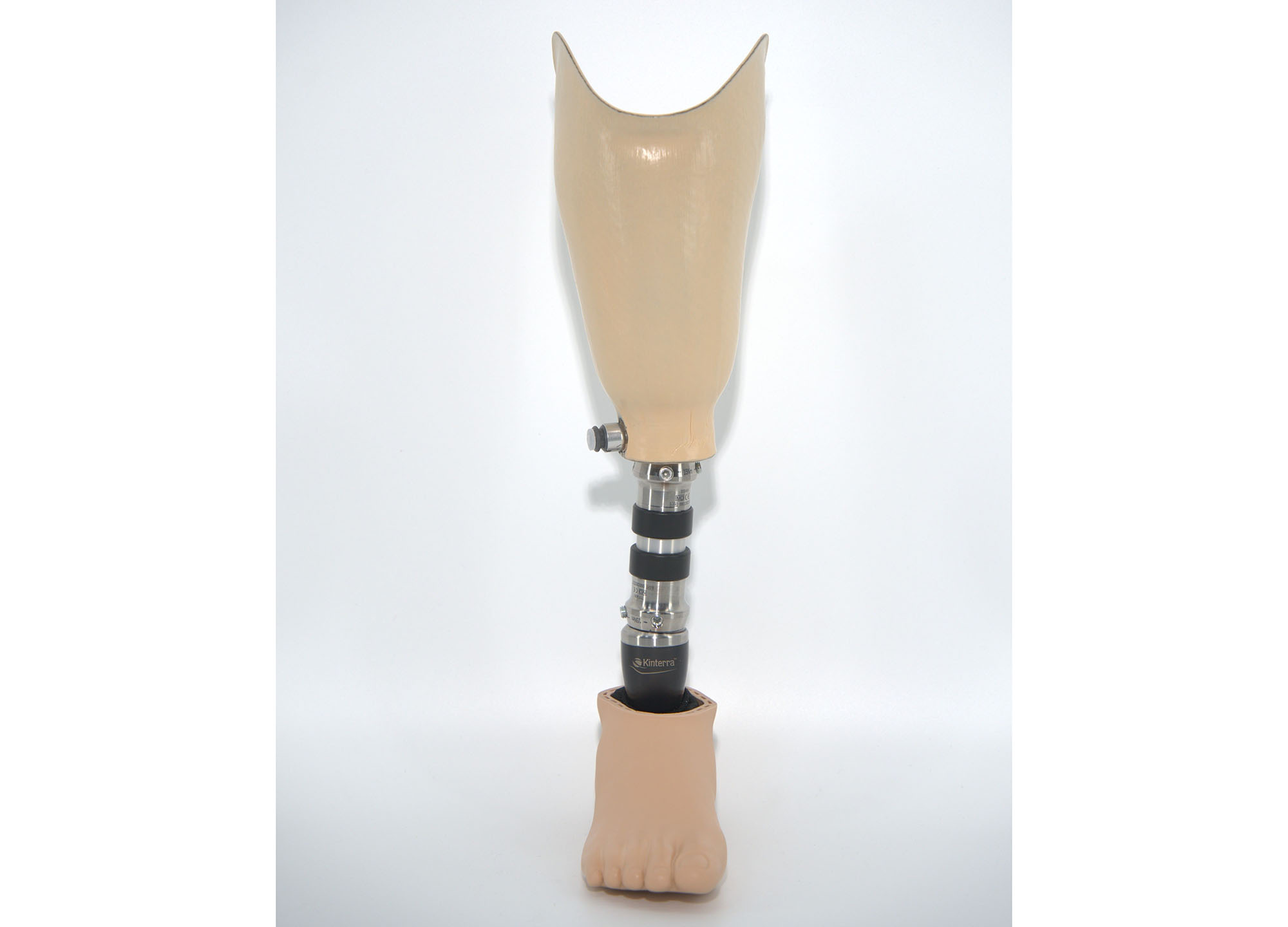 下腿義足(骨格)